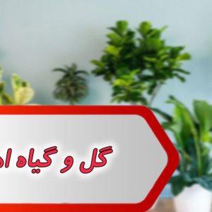 بانک شماره گل و گیاه اهواز
