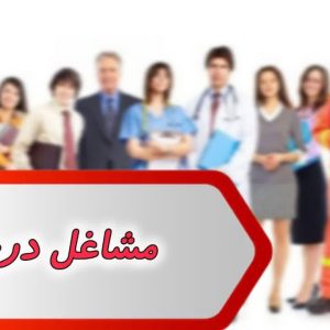 بانک شماره مشاغل درچه