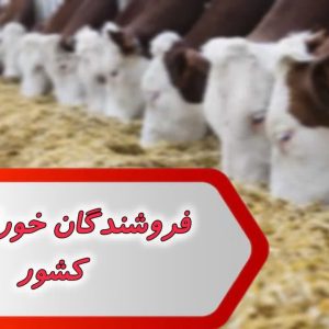 فروشندگان خوراک دام کشور