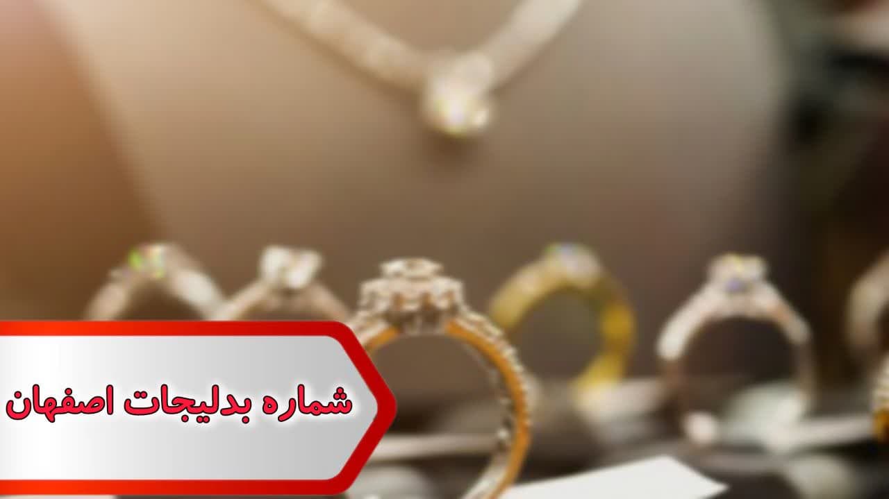 photo_2024-11-20_23-44-29 شماره بدلیجات اصفهان - Image 1