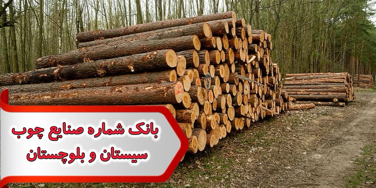 شماره صنایع چوب سیستان و بلوچستان