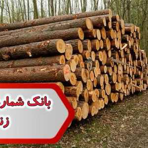 شماره صنایع چوب زنجان