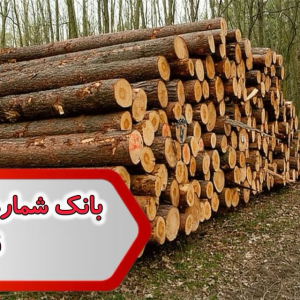شماره صنایع چوب قم