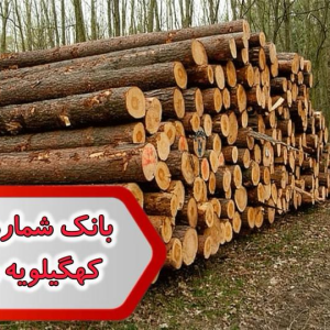 شماره صنایع چوب کهگیلویه و بویر احمد