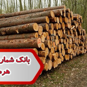 شماره صنایع چوب هرمزگان