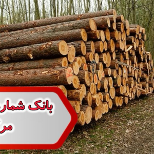 شماره صنایع چوب مرکزی